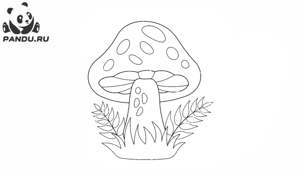 Раскраска Грибы. Красивый гриб в траве