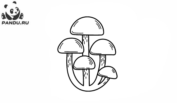 Раскраска Грибы. Семья грибов