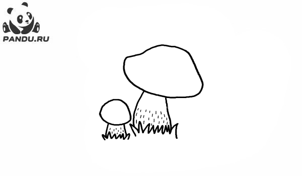 Раскраска Грибы. Два простых гриба для детей