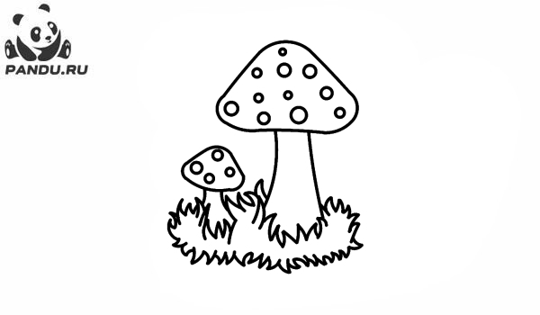 Раскраска Грибы. Два гриба в траве
