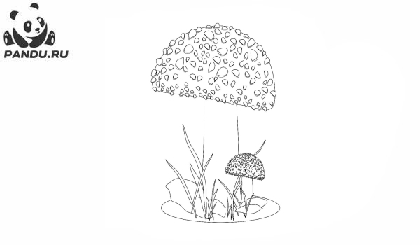Раскраска Грибы. Большой гриб и маленький