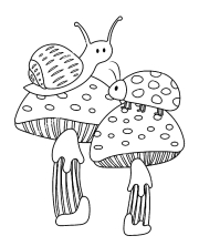 Насекомые и грибы