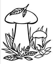 Раскраска грибов