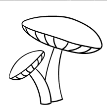 Два гриба