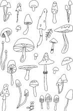 Разные виды плохих грибов