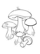 Пять грибов