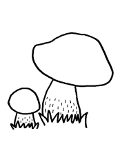 Два простых гриба для детей