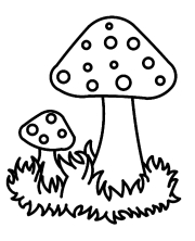 Два гриба в траве