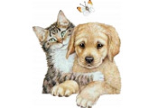 Раскраска Кошка и собака