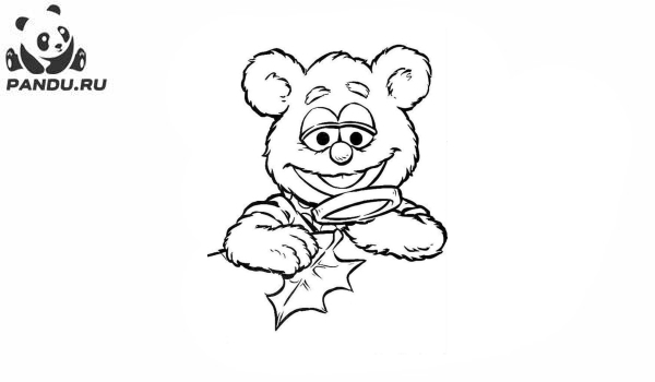 Раскраска Мини-Маппеты. Медведь рассматривает листья