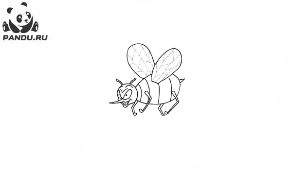 Раскраска Насекомые. Раскраски насекомые - рисунок №17