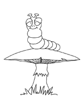 Раскраски насекомые - рисунок №12