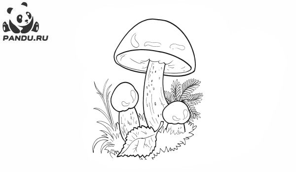 Раскраска Осень. Первые осенние грибы