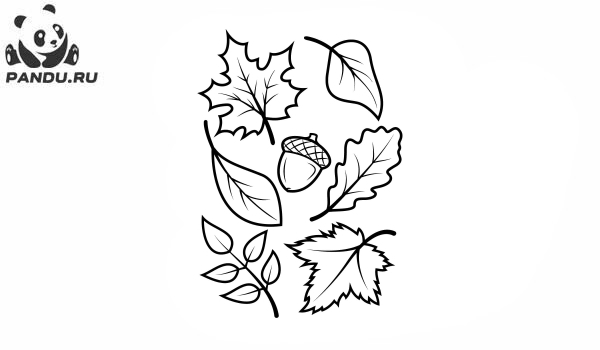 Раскраска Осень. Листья и желудь