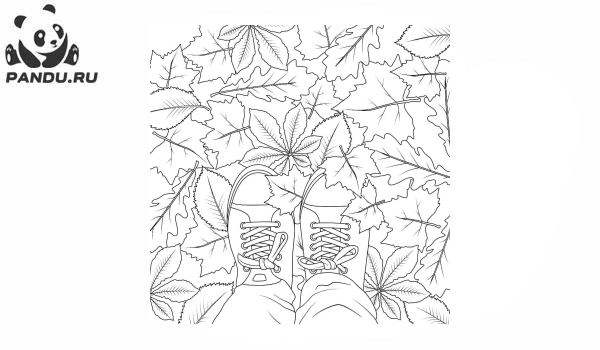 Раскраска Осень. Листья под ногами