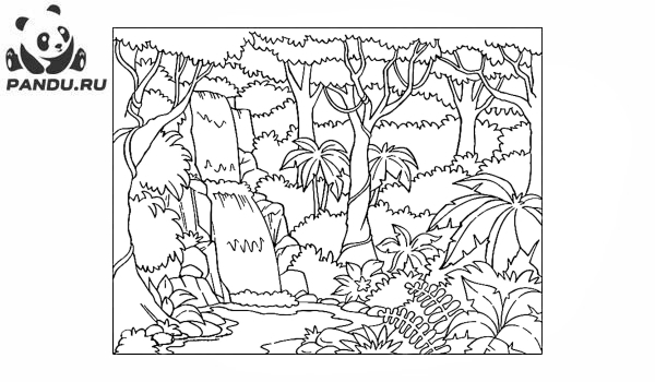 Раскраска Перекресток в джунглях. Раскраска джунгли - рисунок №1