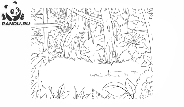 Раскраска Перекресток в джунглях. Раскраска джунгли - рисунок №10