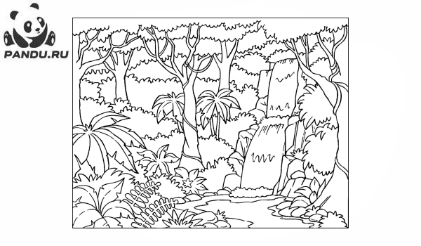 Раскраска Перекресток в джунглях. Раскраска джунгли - рисунок №17
