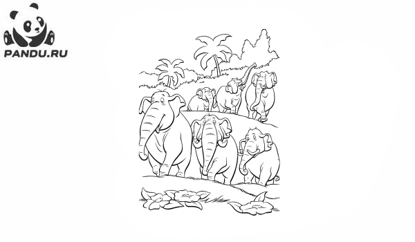 Раскраска Перекресток в джунглях. Раскраска джунгли - рисунок №22