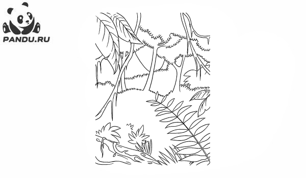 Раскраска Перекресток в джунглях. Раскраска джунгли - рисунок №25