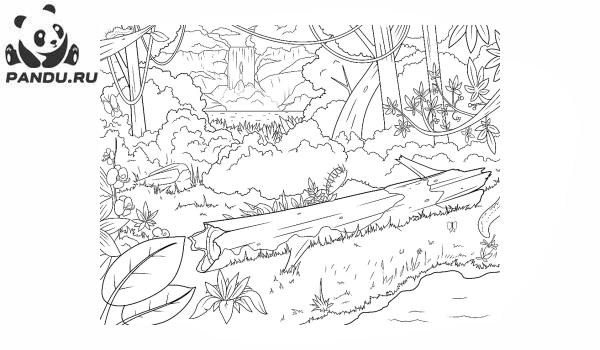 Раскраска Перекресток в джунглях. Раскраска джунгли - рисунок №29