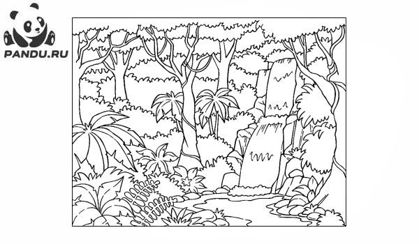 Раскраска Перекресток в джунглях. Раскраска джунгли - рисунок №34
