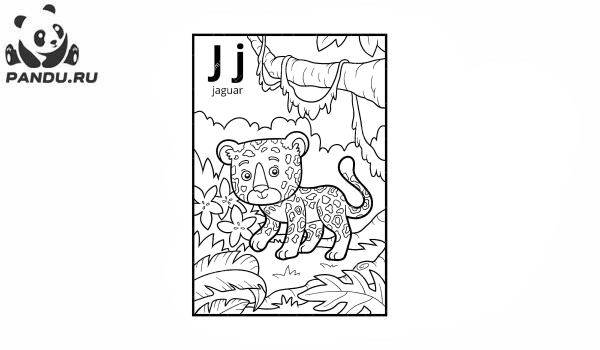 Раскраска Перекресток в джунглях. Раскраска джунгли - рисунок №35