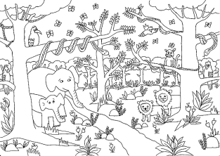 Раскраска джунгли - рисунок №31