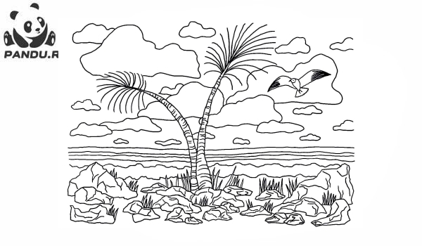 Раскраска Погода. Пальмы на острове