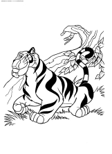 Тигр Жасмин
