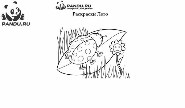 Раскраска Лето. Задание 3.