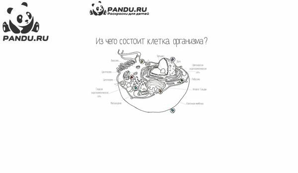 Раскраска Как это устроено?. Задание 10.