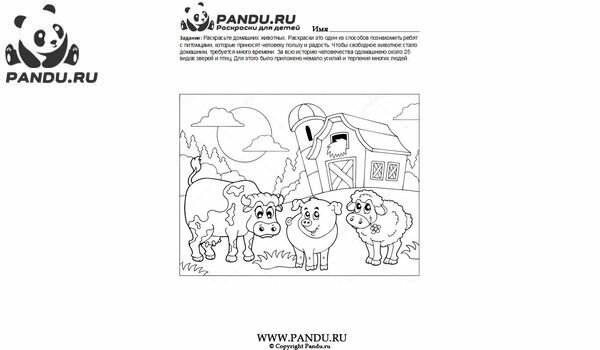 Раскраска Домашнии животные. Задание 14.