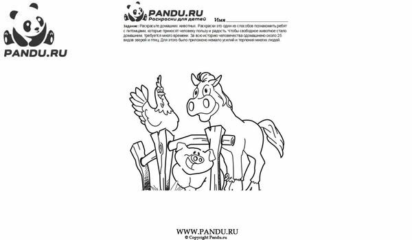 Раскраска Домашнии животные. Задание 15.