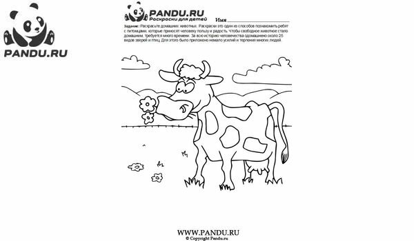 Раскраска Домашнии животные. Задание 18.