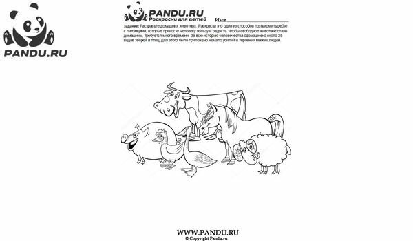 Раскраска Домашнии животные. Задание 19.