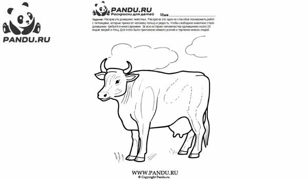 Раскраска Домашнии животные. Задание 2.