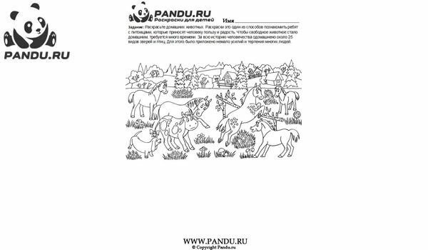 Раскраска Домашнии животные. Задание 22.