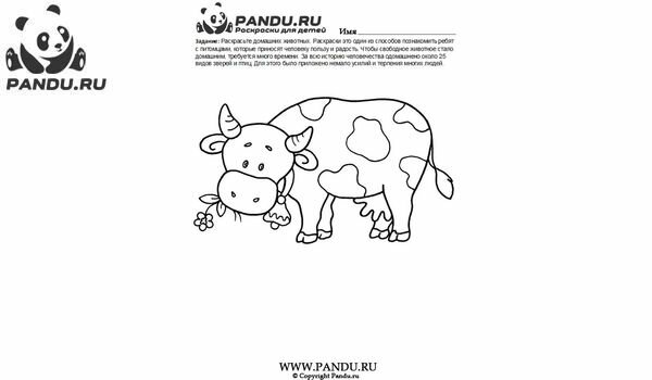 Раскраска Домашнии животные. Задание 23.