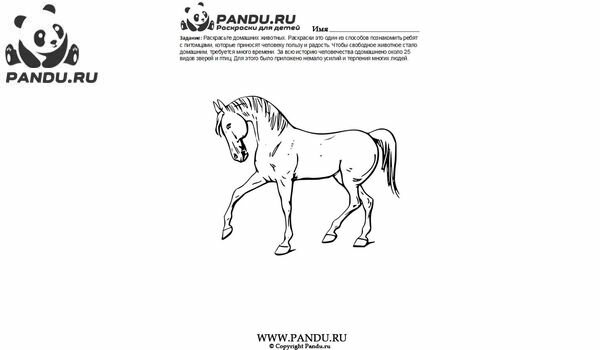 Раскраска Домашнии животные. Задание 3.