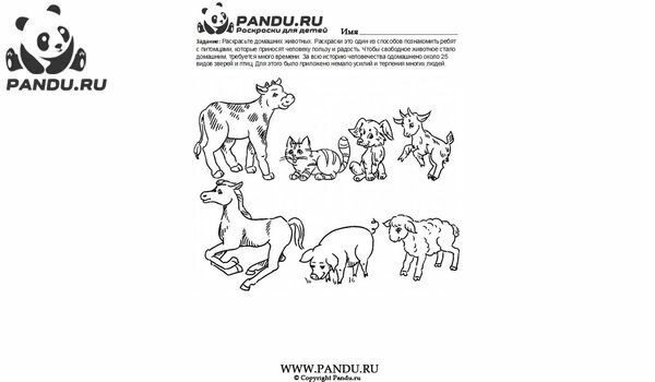 Раскраска Домашнии животные. Задание 4.