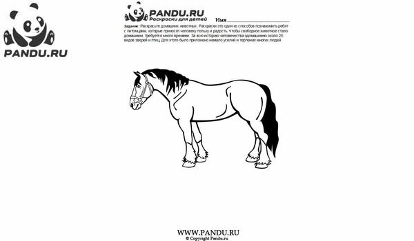 Раскраска Домашнии животные. Задание 5.