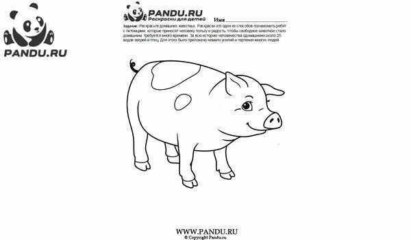 Раскраска Домашнии животные. Задание 6.