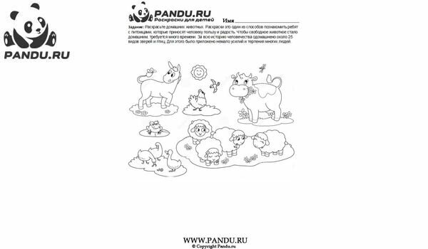 Раскраска Домашнии животные. Задание 8.