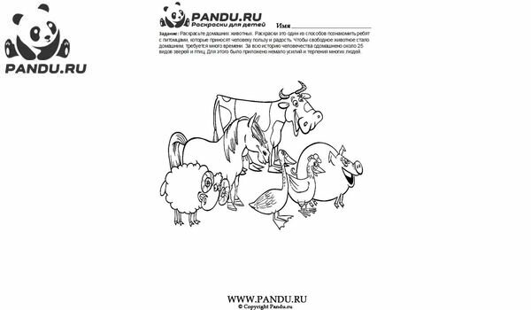 Раскраска Домашнии животные. Задание 9.