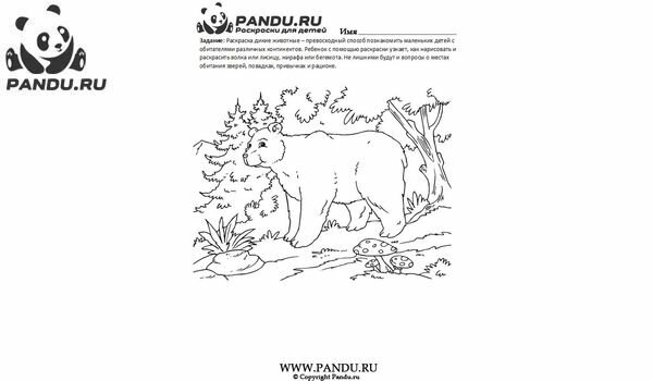 Раскраска Дикие животные. Задание 10.