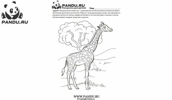 Раскраска Дикие животные. Задание 15.