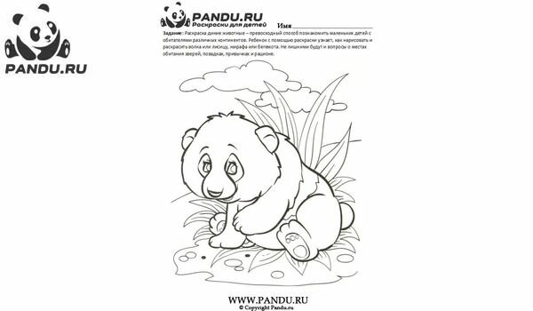 Раскраска Дикие животные. Задание 16.