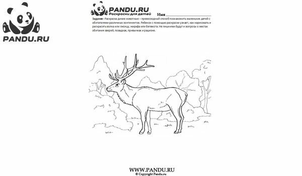 Раскраска Дикие животные. Задание 18.