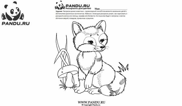 Раскраска Дикие животные. Задание 19.